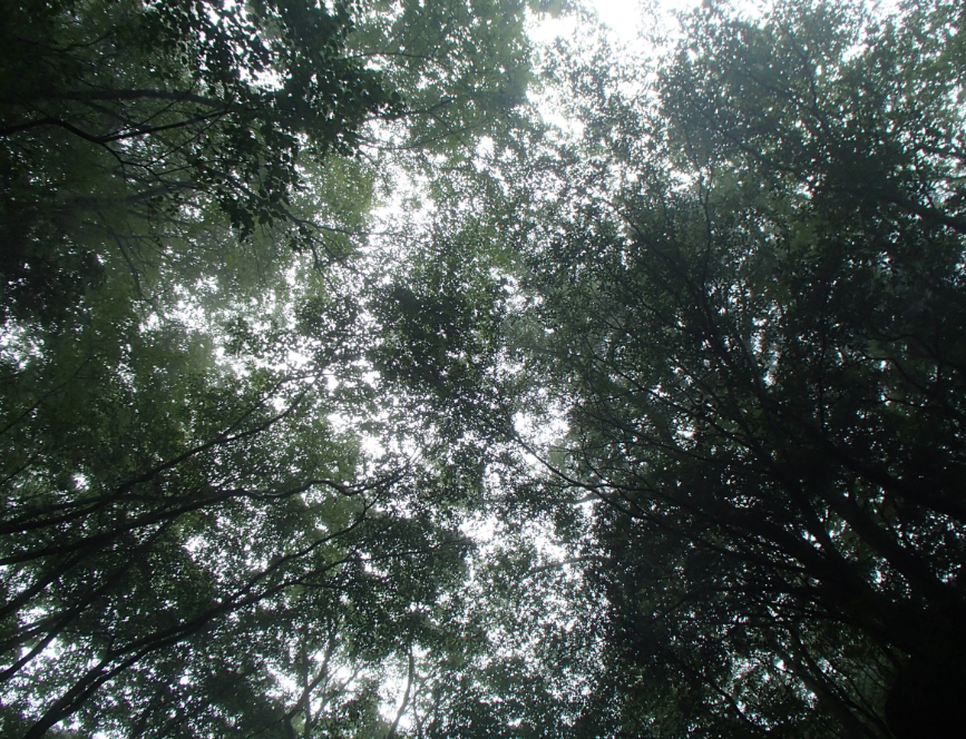 20150830-4